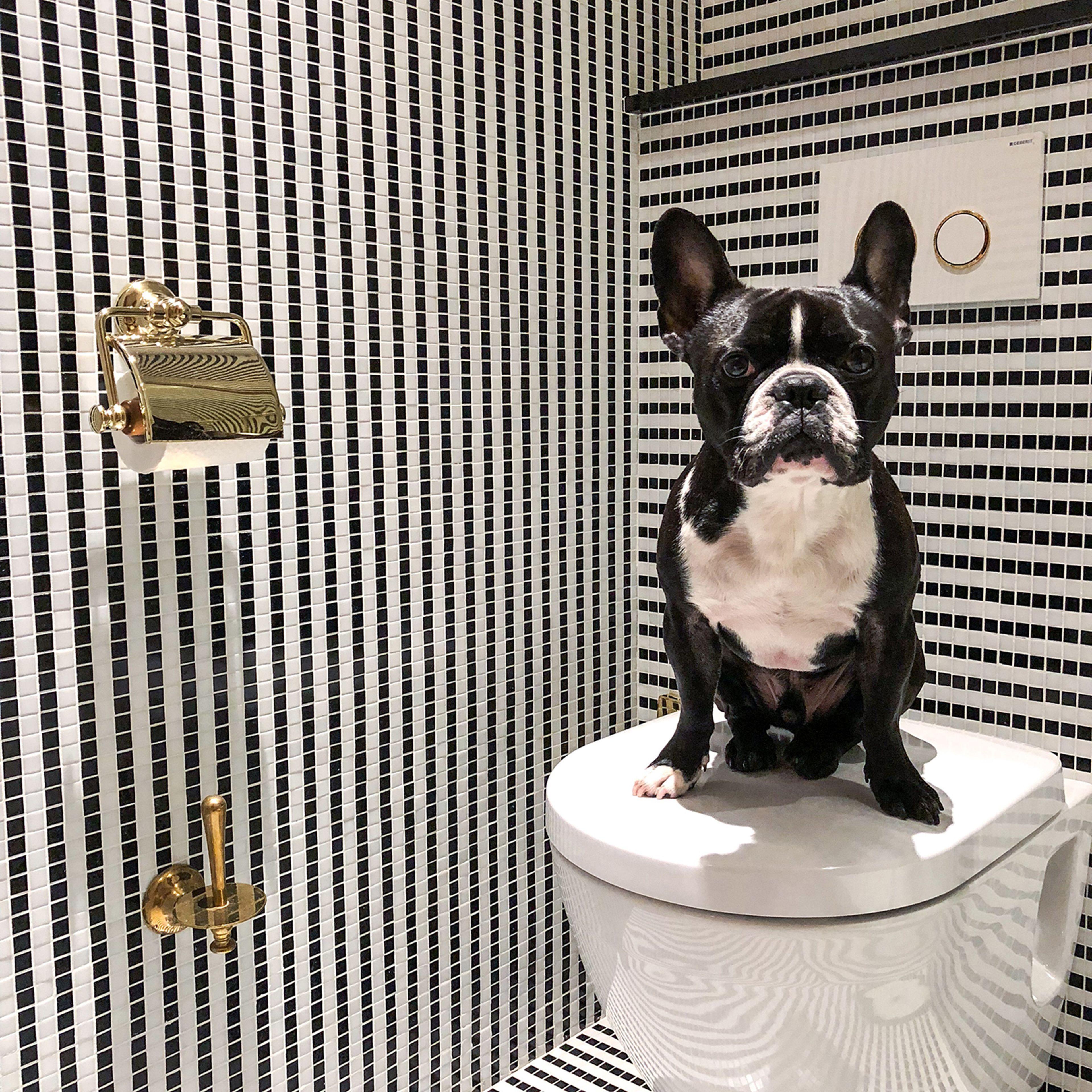 Vernet Champs Elysées Hotel Parigi